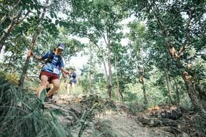 BIB: 
                            <button type="button" onclick="openModal(25981597)" class="btn btn-primary btn-sm float-right btn-popup" data-toggle="modal" data-target=".modal-high-quality">
                        <i class="fas fa-shopping-cart"></i> Add to Cart
                    </button>
                                            <button type="button" onclick="isThisMe(25981597, true)" class="btn btn-success btn-sm float-right btn-popup btn-isme hidden" data-toggle="tooltip" data-placement="bottom" title="นี่คือรูปของคุณใช่ไหม คลิกที่นี่เพื่อเอาเข้าอัลบั้ม">
                        <i class="fas fa-plus"></i> Add to album
                    </button>
                    <button type="button" onclick="isThisMe(25981597, false)" class="btn btn-warning btn-sm float-right btn-popup btn-isnotme hidden">
                        <i class="fas fa-ban"></i> Remove from album
                    </button>